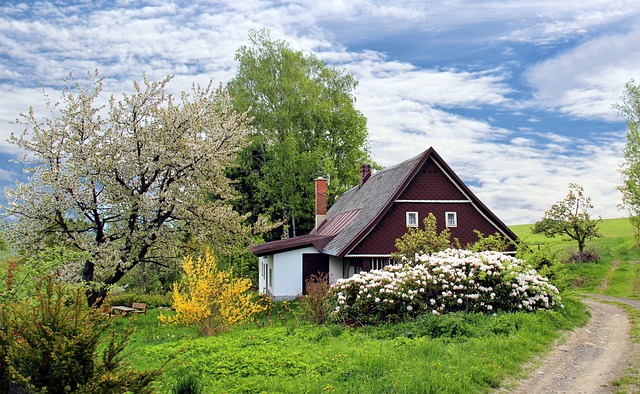 Transforming Your Home Into An Eco-Haven With A Reverse Mortgage
